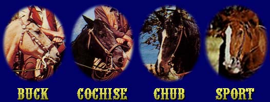 Buck, Cochise, Chub and Sport!